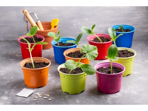 Jakie narzędzia są niezbędne do prac ogrodowych?