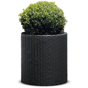 Keter Cylinder Planter L - Antracytowa donica plecionkowa