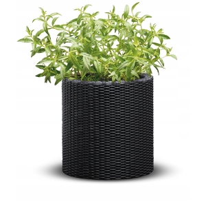 Keter Cylinder Planter S - Antracytowa donica plecionkowa