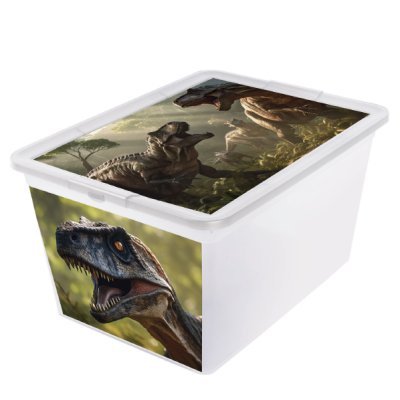 Pojemnik X-BOX 30L Z Nadrukiem Dinozaura BRANQ