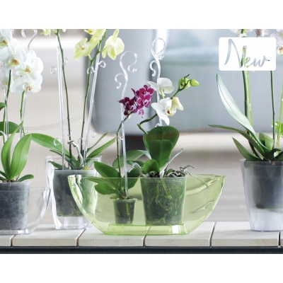 Prosperplast Podpórki do storczyków Decor Orchid Sticks ISTC03 kolory