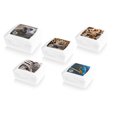 Pojemnik Na Śniadanie dla dzieci 0,85 L "Save Me" BRANQ