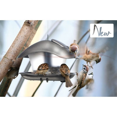 Prosperplast Karmnik dla ptaków Birdyfeed Square IBFS