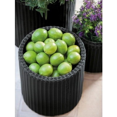 Keter Cylinder Planter S - Antracytowa donica plecionkowa