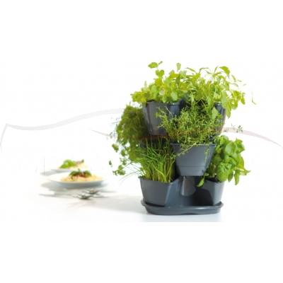 Prosperplast Doniczka Coubi Herbal DKN3003 kolory