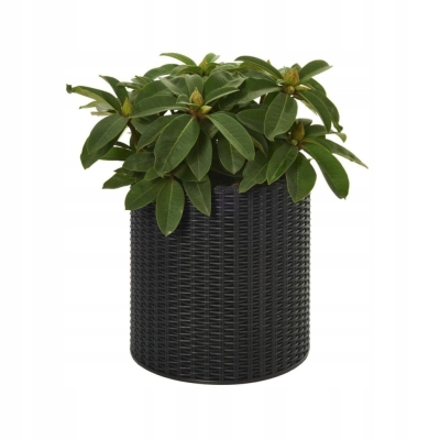 Keter Cylinder Planter L - Antracytowa donica plecionkowa