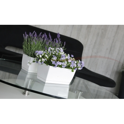 Prosperplast Doniczka Coubi Case P DUPP400 kolory