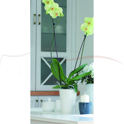 Prosperplast Doniczka Coubi Orchid DUS130 kolory