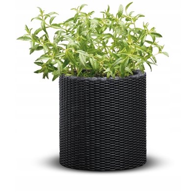 Keter Cylinder Planter S - Antracytowa donica plecionkowa