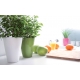 Prosperplast Doniczka Coubi Orchid DUS130 kolory