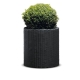 Keter Cylinder Planter M - Antracytowa donica plecionkowa