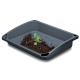 Prosperplast Tacka Respana Grow Tray INTC60