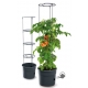 Prosperplast Doniczka Tomato Grower IPOM400