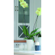Prosperplast Doniczka Coubi Orchid DUS130 kolory