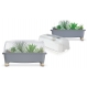 Prosperplast Rozsadnik Respana Planter Wood Low Set ISEW780